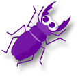 a purple bug