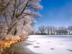 frozen pond or lake